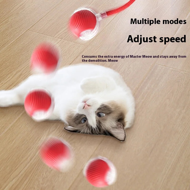 SmartCat Ball™ – Bola Interativa Inteligente para Gatos