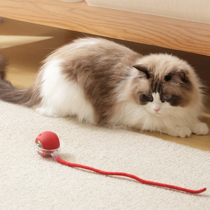 SmartCat Ball™ – Bola Interativa Inteligente para Gatos