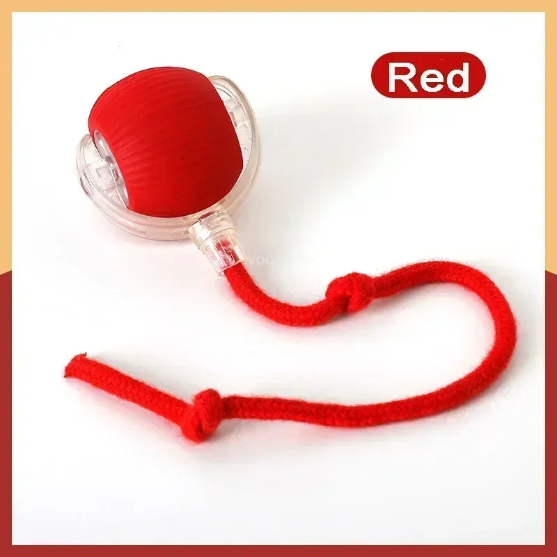 SmartCat Ball™ – Bola Interativa Inteligente para Gatos