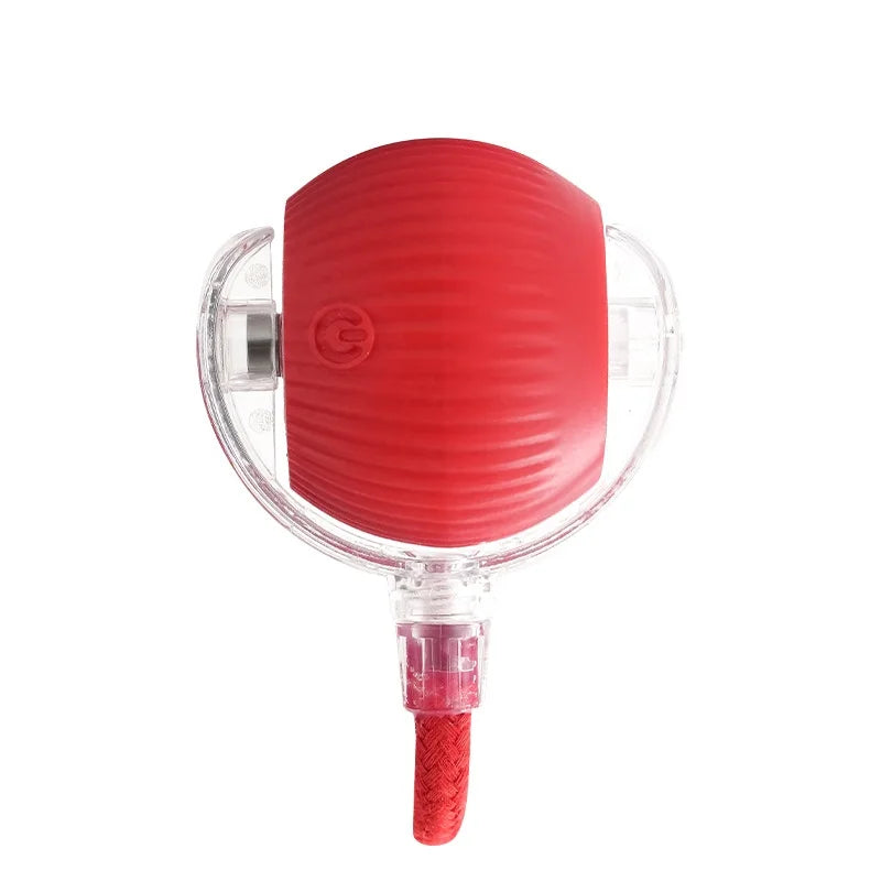 SmartCat Ball™ – Bola Interativa Inteligente para Gatos